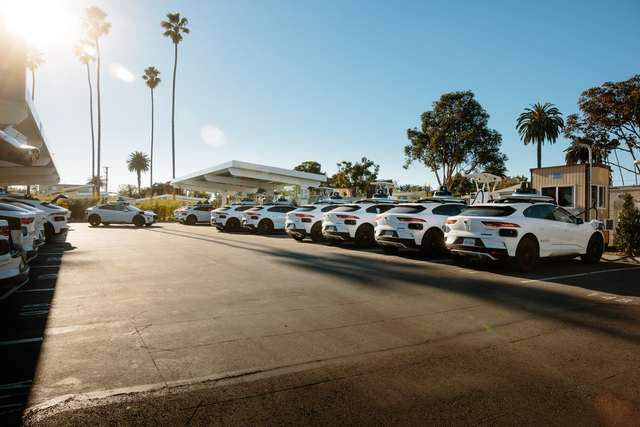 A parking lot filled with identical white autonomous cars equipped with roof sensors, under a clear sky with palm trees in the background.